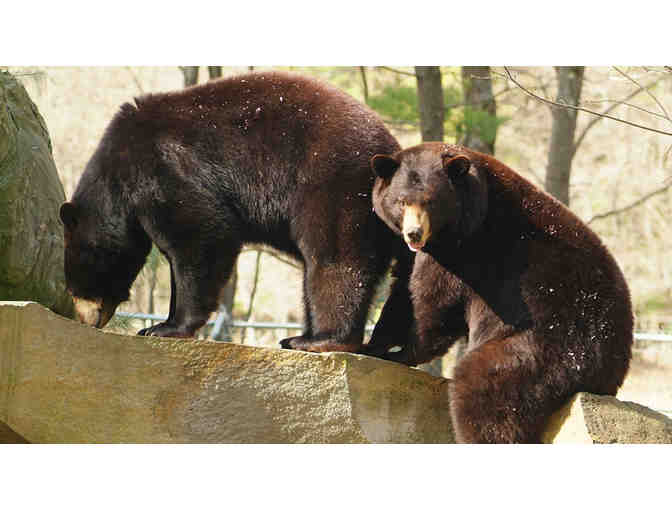 Explore New Hampshire - Science, Space, Submarines and More