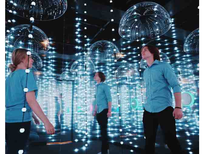 Game On! Adventure Challenges for the Thrill Seekers