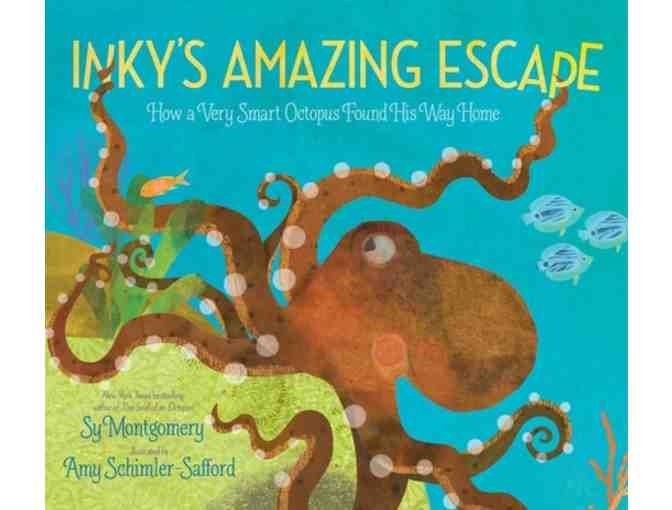 Bookworm Bundle from Whitelam Books