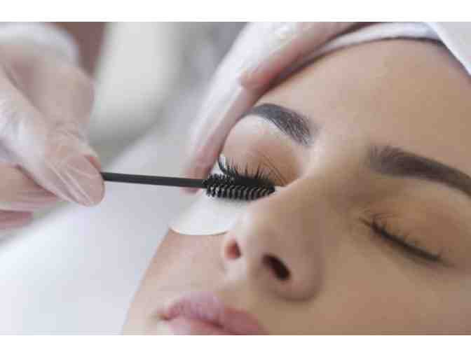 Wellness Essentials for your Mind, Body and Soul