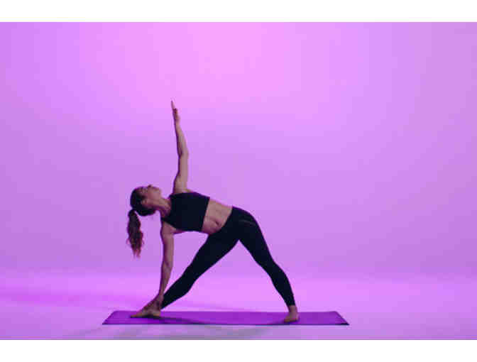 Sweat it Out - Fitness Class Sampler