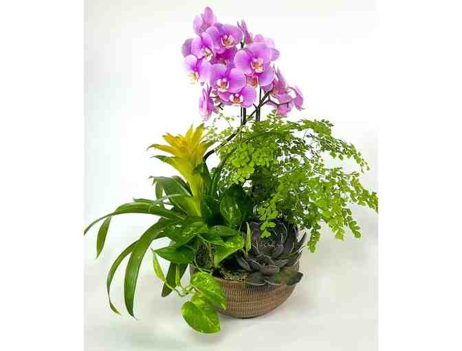 Beautiful Blooms from Currans Flowers