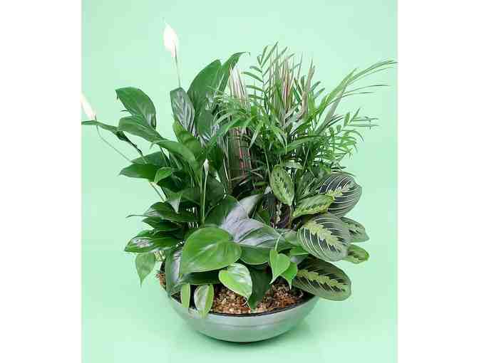 Beautiful Blooms from Currans Flowers