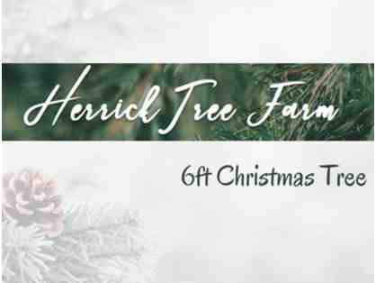 Christmas Tree from Herrick Tree Farm