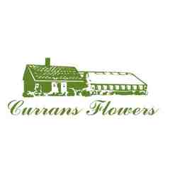 Currans Flowers