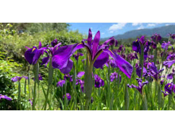 Sonoma Botanical Garden Membership Package - Photo 6