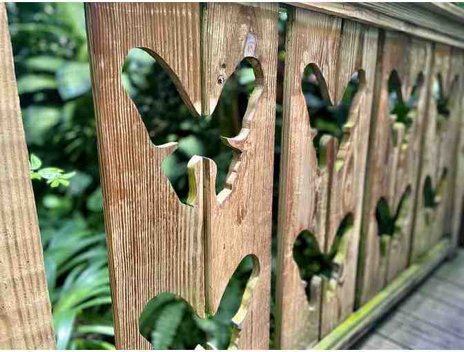 The Key West Butterfly and Nature Conservatory