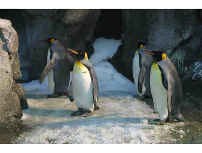 John Ball Zoo Grand Rapids MI