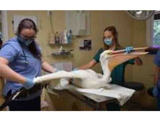 CROW Sanibel Campus Tour Certificate for 2