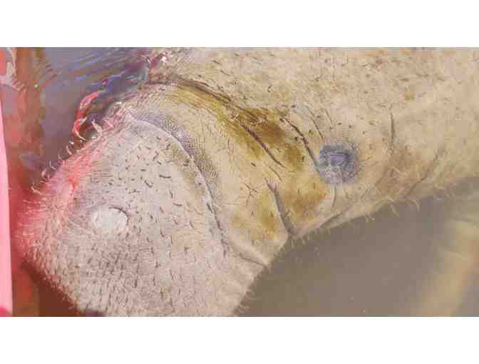 A Private 2 Hour Kayak Tour