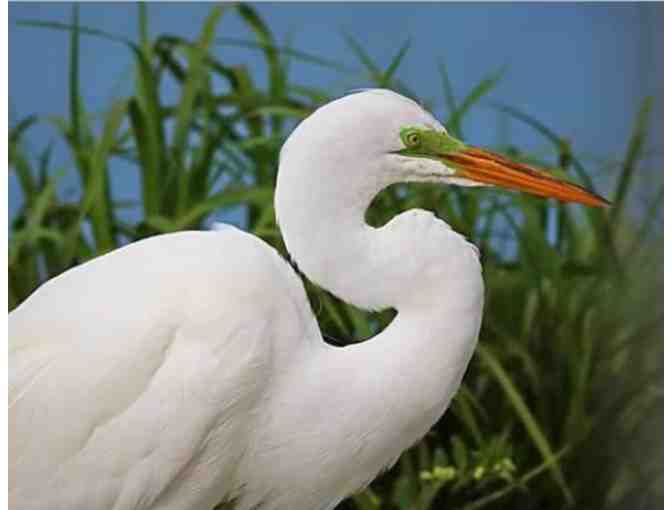 A One of a Kind Nature Color Photography Book