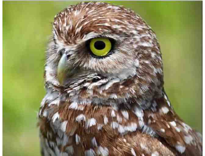 A One of a Kind Nature Color Photography Book