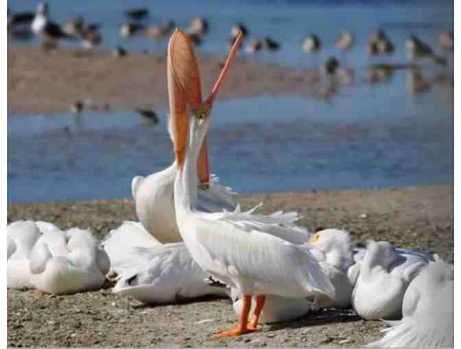 A One of a Kind Nature Color Photography Book