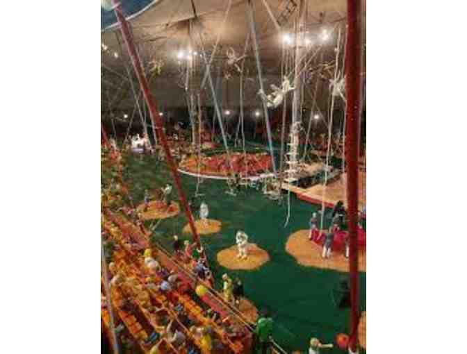 The John and Mable Ringling Museum of Art