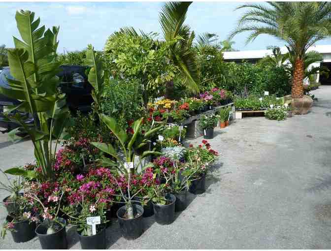 Landscaping Items from Danny Yates