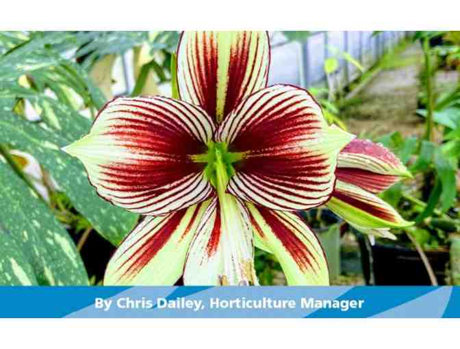 Jacksonville Zoo and Gardens