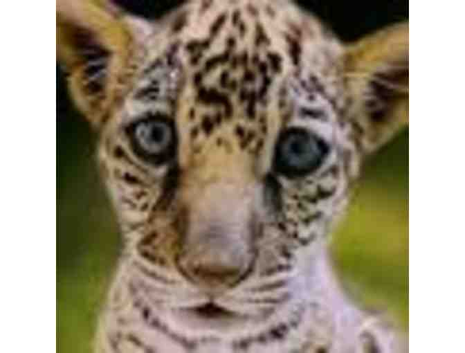 Jacksonville Zoo and Gardens