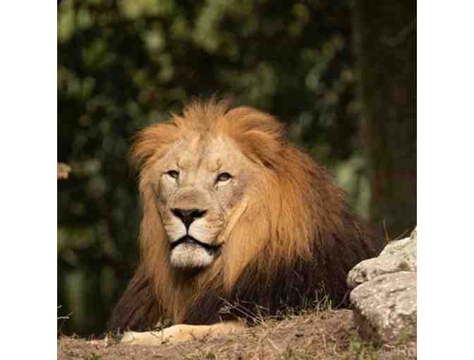 Jacksonville Zoo and Gardens