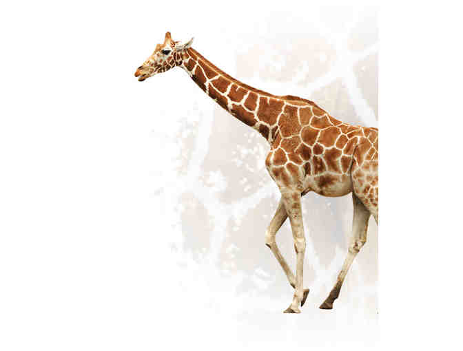 Jacksonville Zoo and Gardens