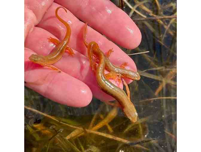 Jacksonville Zoo and Gardens