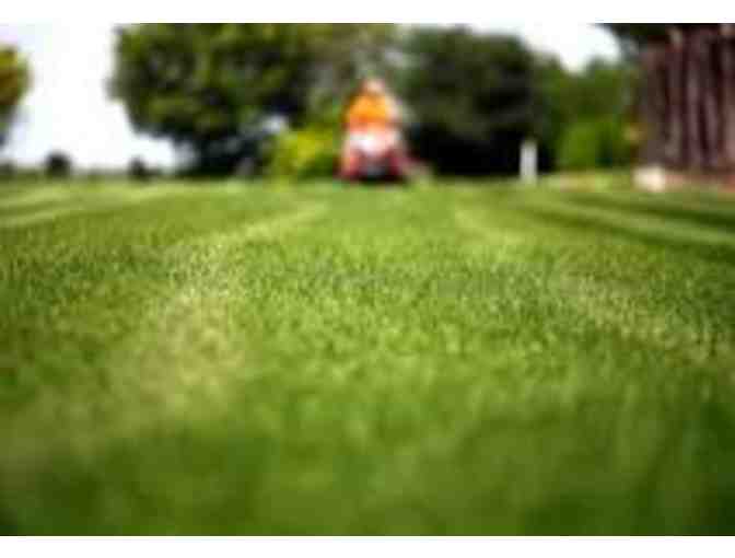 One Month of Full Lawn Care