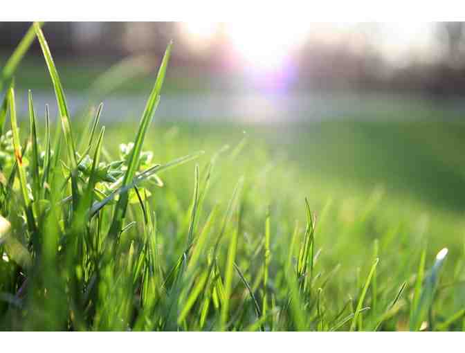 One Month of Full Lawn Care