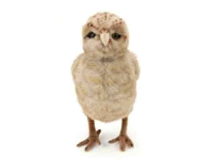 Stuffed Safari Gift Certificate