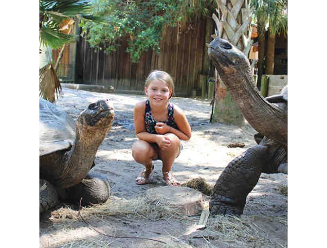 St. Augustine Alligator Farm and Zoological Park