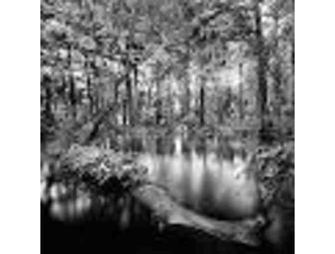 Clyde Butcher Studio