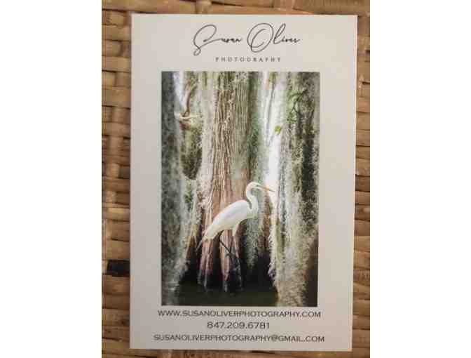 Burrowing Owl Matted Photo