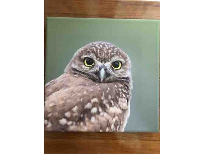 Always Better In Threes