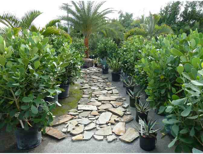 Danny Yates Landscaping - Photo 1