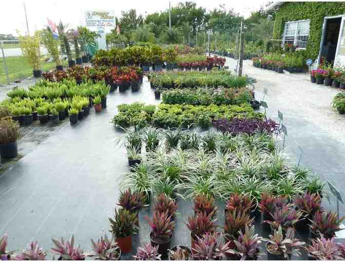 Danny Yates Landscaping - Photo 3