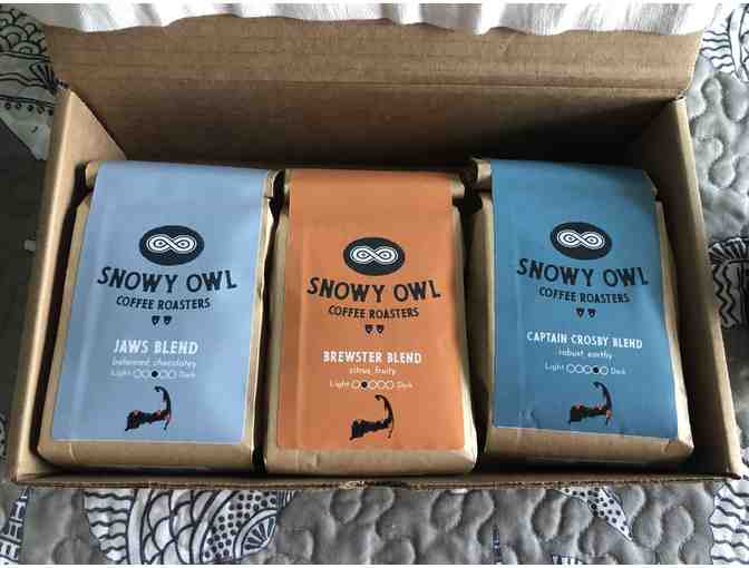 Snowy Owl Coffee - Photo 3