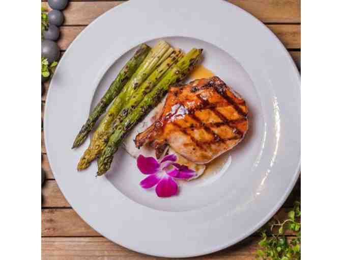 Fins Seafood and Dive Bar - Cape Coral