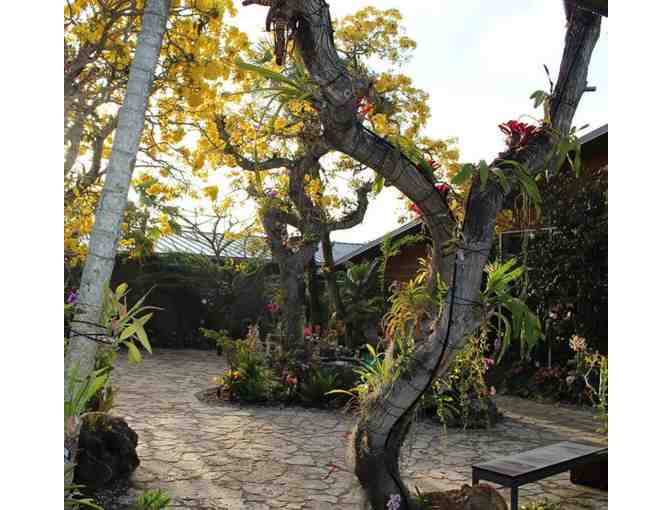 Naples Botanical Garden Guest passes