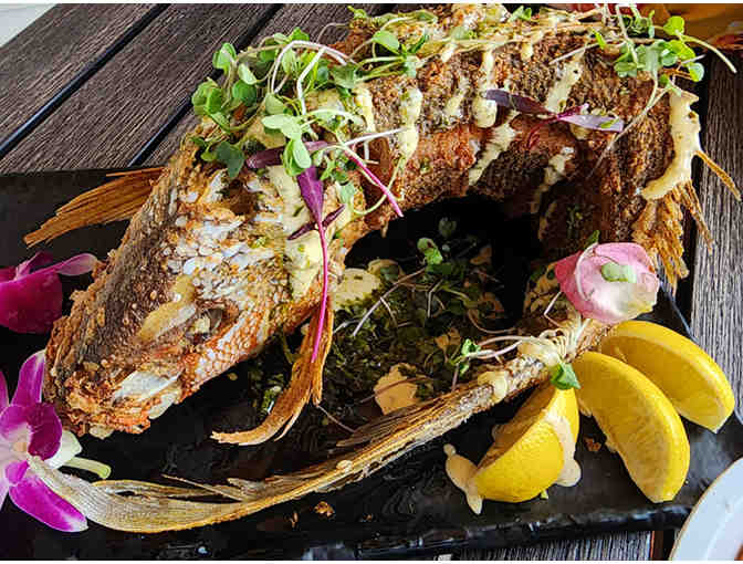 High Tide Social House $500 Gift Card