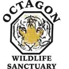 Octagon Wildlife Sanctuary
