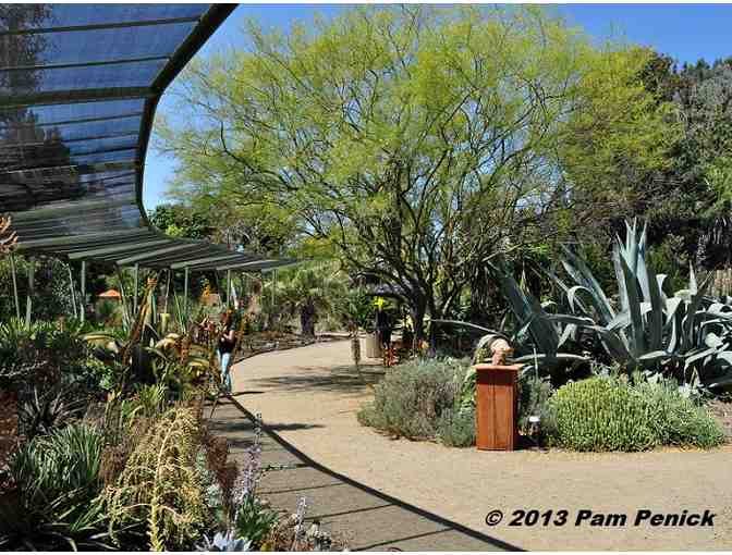 1 Year Dual Membership to The Ruth Bancroft Garden