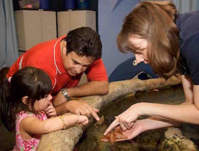 Long Beach Fun - Aquarium of the Pacific & Battleship USS Iowa