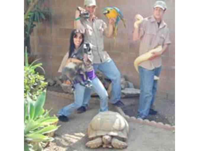 Birthday Package - Critter Squad and Sprinkles Cupcakes!