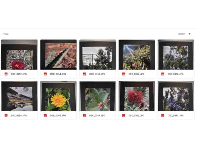 Ms. Romero-Matted Student Photographs -Item #360