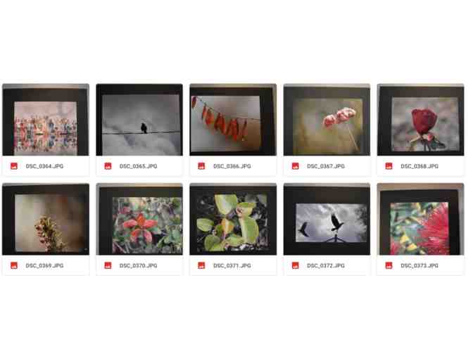 Ms. Romero-Matted Student Photographs -Item #368