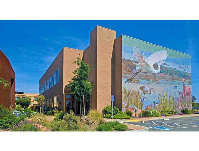 Napa County, CA - Doubletree Hotel Napa Valley American Canyon - Deluxe Napa Spa Package