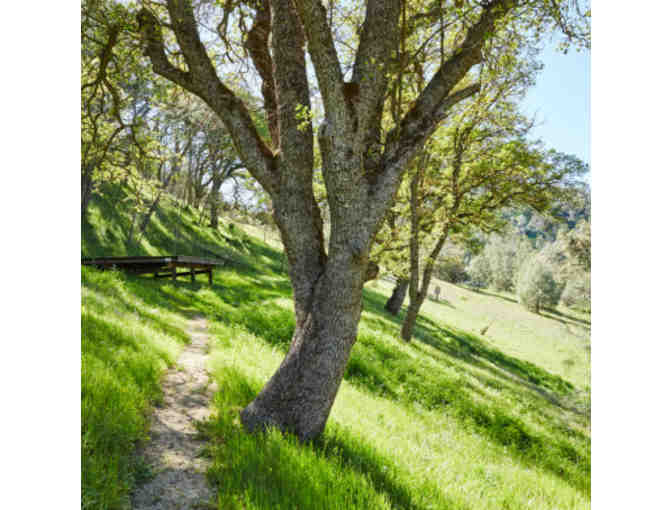 Wilbur Springs, CA - Wilbur Hot Springs - two night stay in a private cabin for two