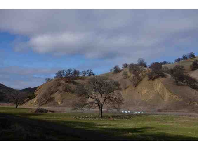 Wilbur Springs, CA - Wilbur Hot Springs - two night stay in a private cabin for two