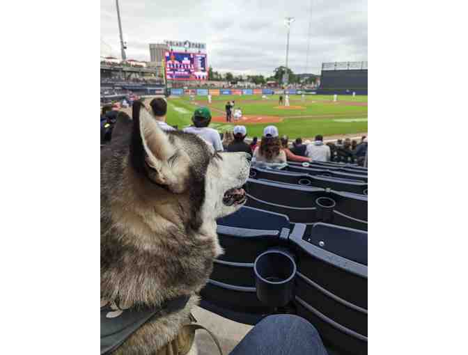 Worcester 'Woo Sox' Tickets