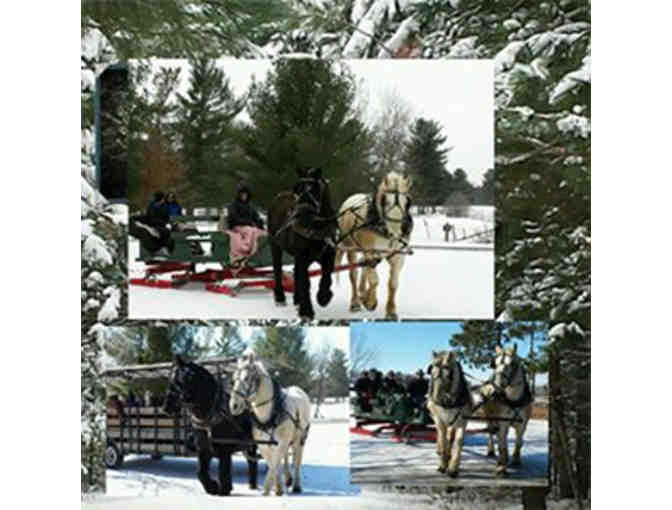 Horse-drawn Carriage Ride for Four People