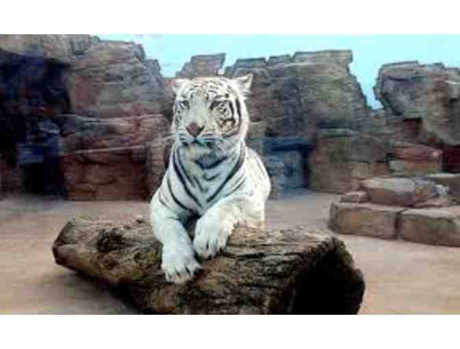 Behind the Scenes Tour of Irvine Park Zoo, Chippewa Falls, WI