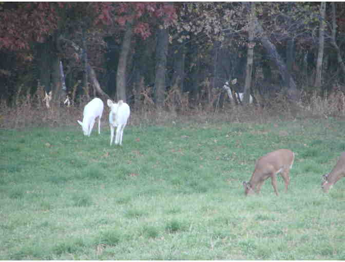 Two night retreat at White Deer Lodge in Buffalo County